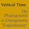 Vertical Time essay